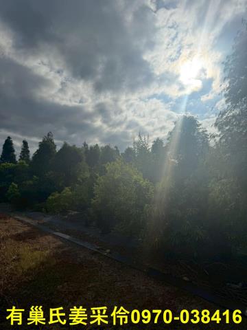 嘉義新港農地-4