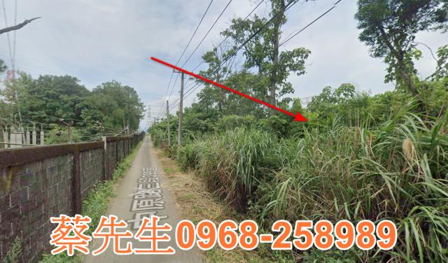 桃園龍潭農地法拍-9