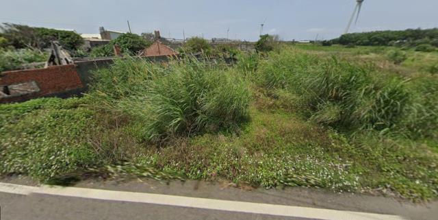 大安區法拍農地-1