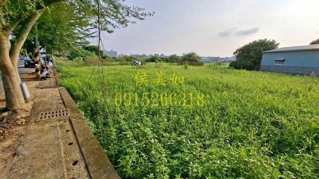 嘉義民雄農地-3