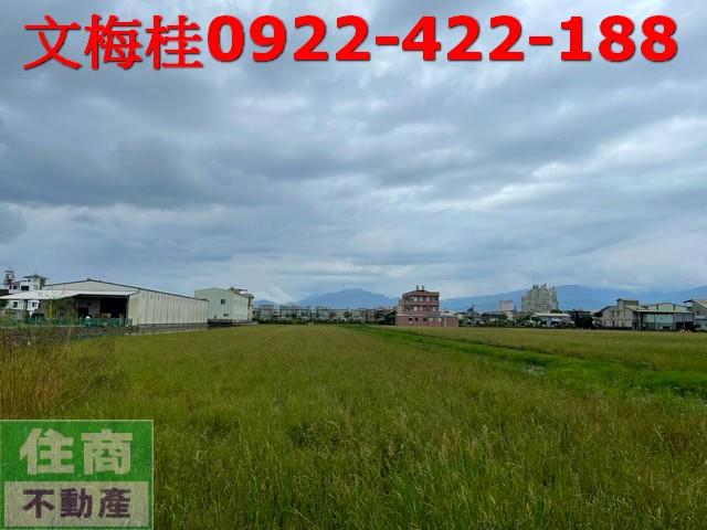 宜蘭宜蘭市農地-1