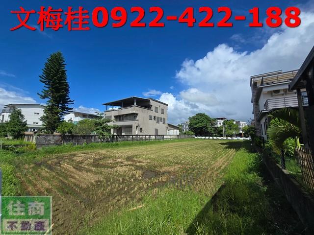 宜蘭宜蘭市農地-1