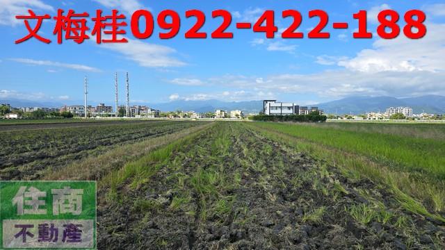 宜蘭宜蘭市農地-1