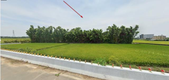 楊梅農地拍賣-9