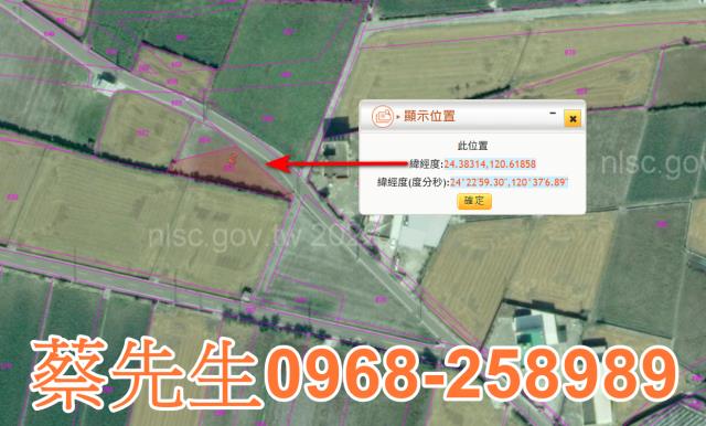 大安區農地法拍-11