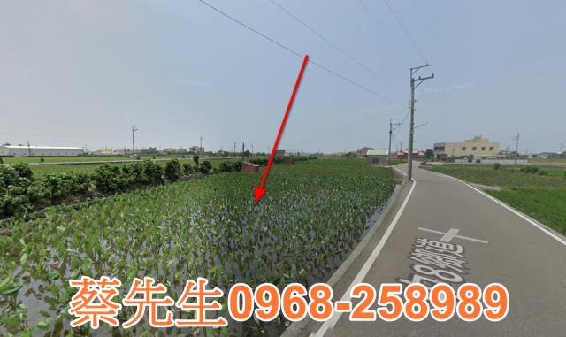 大安區農地法拍-4