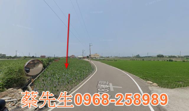 大安區農地法拍-5