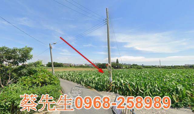 大安區農地法拍-6