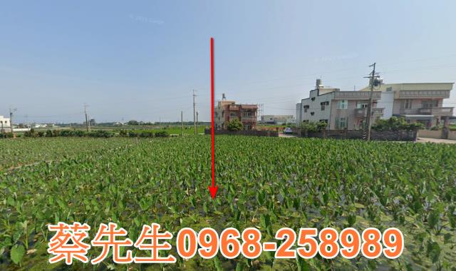 大安區拍賣農地-1