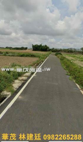 鹽水農地法拍-1