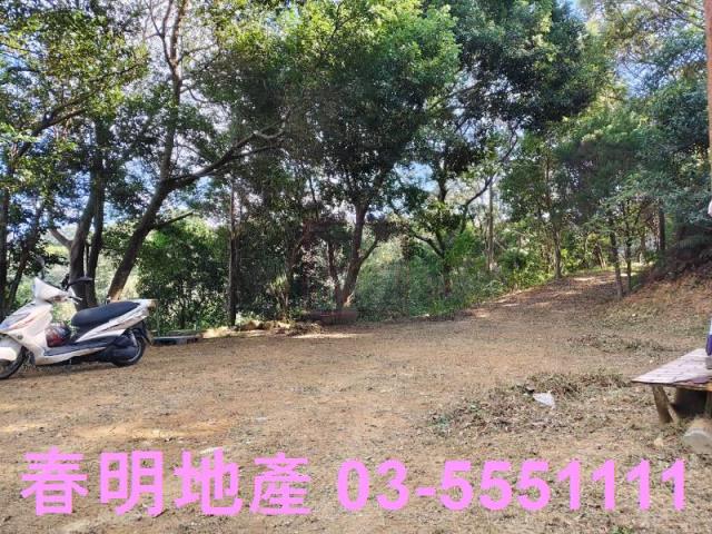 新竹關西農地-2