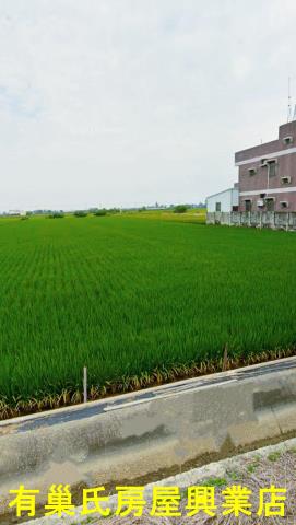 嘉義鹿草農地-2