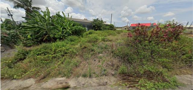 台南學甲法拍建地-1