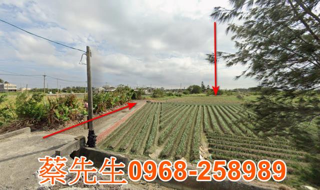 雲林口湖拍賣農地-1