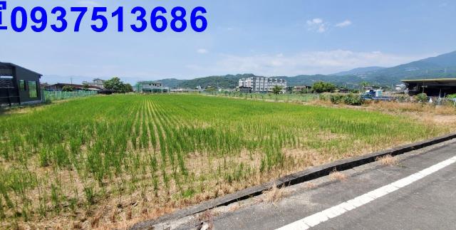 宜蘭礁溪農地-6